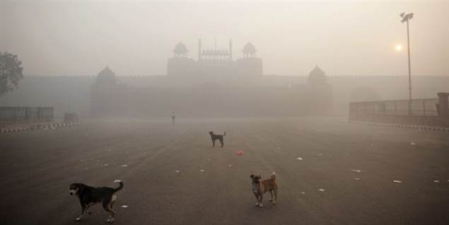Se dødstågen der har kostet 100 liv i Indien