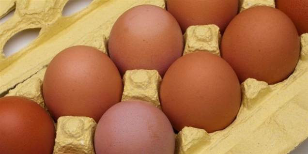 Fødevarstyrelsen advarer mod salmonella-æg