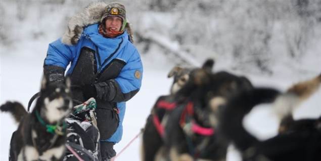 Se hårde hunde kæmpe sig 1700 km. gennem sne