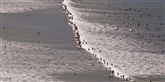 <span style='font-family: Arial; font-size: 15px; color: White;'>Målet var at sætte verdensrekord i antal af surfere på én gang.</span> <span style='font-family: Arial; font-weight: normal; font-size: 15px; color: #999999;'>Foto: Schalk van Zuydam / POLFOTO</span>