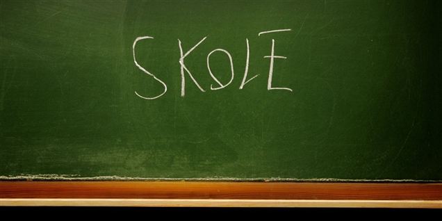 Skoleekspert: Konflikt har været ødelæggende