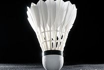 Badmintonlandshold dropper træner
