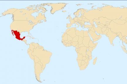 Skud rammer dansk studerende i Mexico