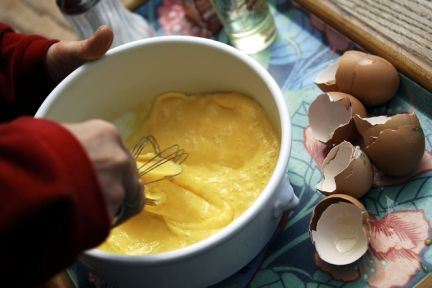 Mere salmonella i økoæg end buræg