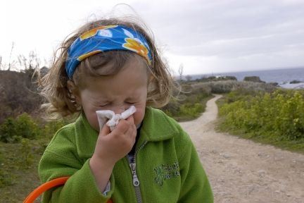 H1N1 har for alvor fået fat i Danmark