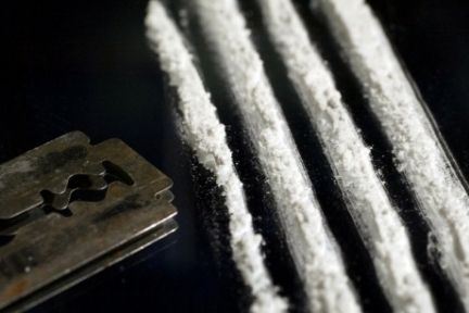 Jetset-navneforbud er lige til skraldespanden