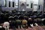 DF: Sig så undskyld, muslimer!