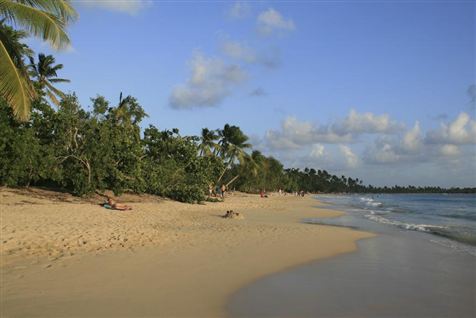 Dagens tilbud: Tag til Martinique på dagpenge