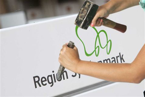 Patientforening: Nedlæg regionerne