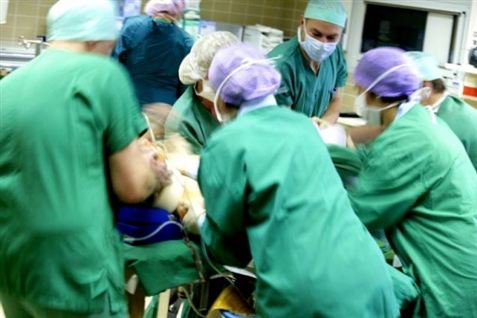 Offentlig jobfest aflyst
