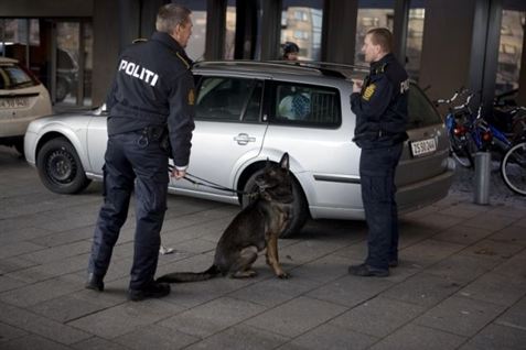 Myrdet stewardesse lukkede selv morder ind