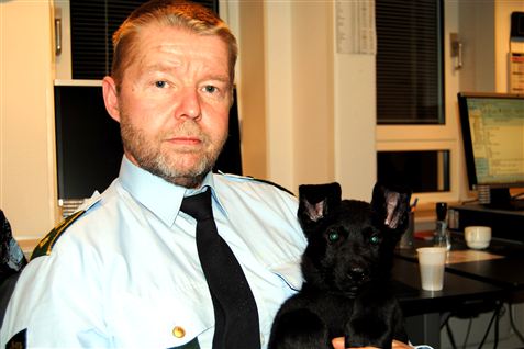 Udover arbejdet som hundefører i Københavns Vestegns Politi driver Otto også en hundekennel sammen sin mand Palle. Carmen er én af de hvalpe, der er kommet ud af det. Denne aften fik hun lov til at komme med sin far Brian med på arbejde.  <b>Foto: Julie Moestrup</b>