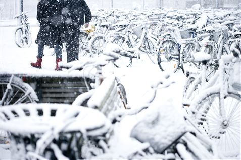 Hjælper smidt ud af huset i frostgrader