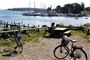 Politi hiver lig op af havn