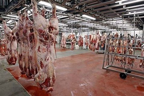 Slagteriarbejder fik hår revet af
