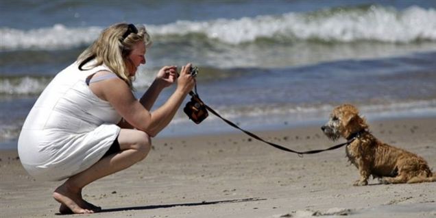 Her er Danmarks bedste strand