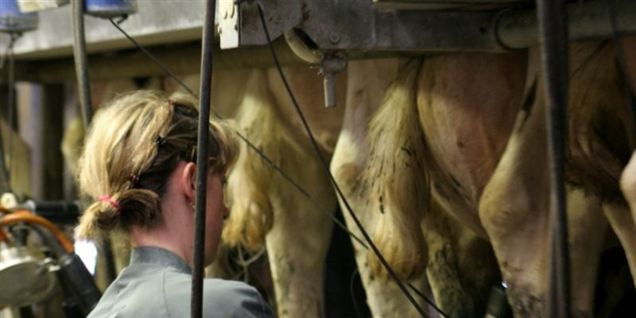 Kvinder vil være landmænd