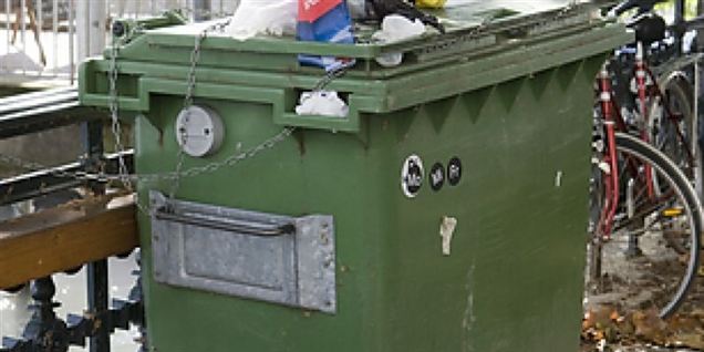 Millioner af plastikposer flyder i naturen