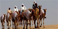 En mand fra de Arabiske Emirater får børn igen og igen. Nu er nummer 88 netop ankommet.