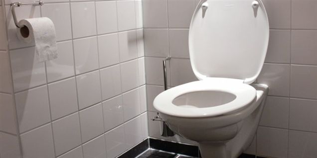 Oksecuvetter sender dig på tønden
