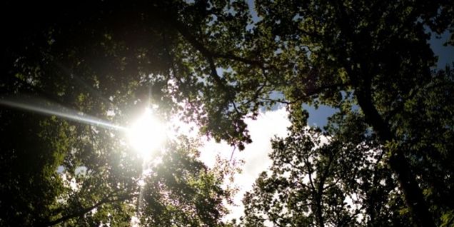 Glæd dig til 15 grader i weekenden