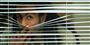 article thumb image