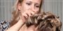 article thumb image