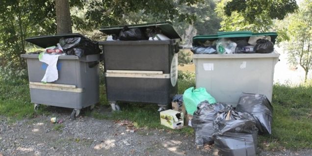 Flere brugte dildoer havner på skovstien