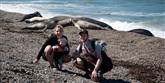 <span style='font-family: Arial; font-size: 15px; color: White;'>Augusta Elkrog Friis hænger ud med forældre og en flok søelefanter på en strand i Patagonien i februar 2011. Familien Elkrog Friis brugte syv ugers fælles barsel på rundrejse i Argentina, Chile og Uruguay. Journalist Søren Elkrog Friis har skrevet artiklen om den udbredte rejsefeber blandt nyfødte danskere.  </span> <span style='font-family: Arial; font-weight: normal; font-size: 15px; color: #999999;'>Foto: Søren Elkrog Friis</span>