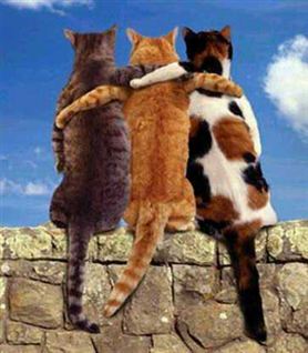 oppositionen