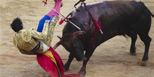 Den spanske tyrefægter Juan Mora falder i arenaen efter at være blevet stanget af en kamptyr under San Fermin-festivalen i Pamplona i torsdags.