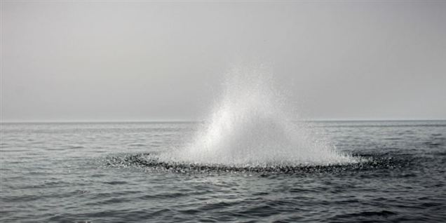 Se oprører fiske med dynamit i Libyen