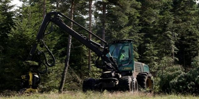 Østerild-aktivist falder 5 meter ned fra træ