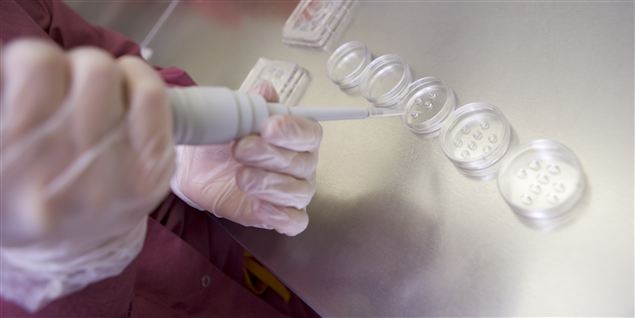 95 procent dumper sædtesten