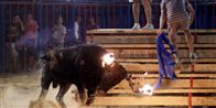 Allerede før byfesten i Sueca nær Valencia for alvor er gået i gang, har tyren 'Mus' spredt panik. Men den har også tre menneskeliv på samvittigheden. Her har den fået monteret fakler på sine horn.