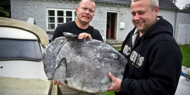 Sjælden kæmpefisk - se Kenneths vilde fangst