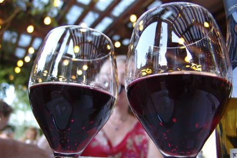 Chile er klart det land, som danskerne importerer mest vin fra.