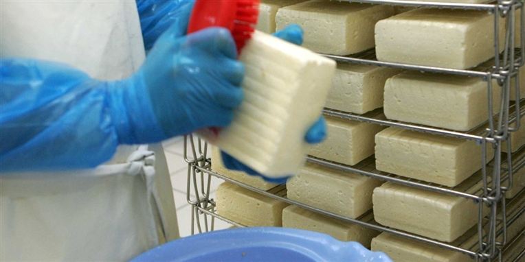Mejerister på Arla får en tur hos massøren eller kiroprakteren, hvis de får ondt i ryggen.