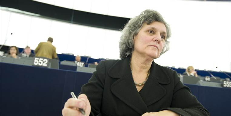 ''Social dumping' er en urimelig måde at beskrive situationen. Man burde 
hellere udtrykke bekymring for dem, der arbejder udenfor deres hjemland,
 deres arbejdsliv og sociale rettigheder,' siger Kinga Göncz.