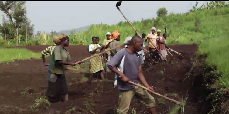 Bedre dyrkningsmetoder og samarbejde er med til at skabe en success for små farmere i Afrika