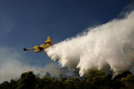 Et fly forsøger at slukke en skovbrand ved Nea Makri nær Athen. 
 Foto: Dusan Vranic / POLFOTO