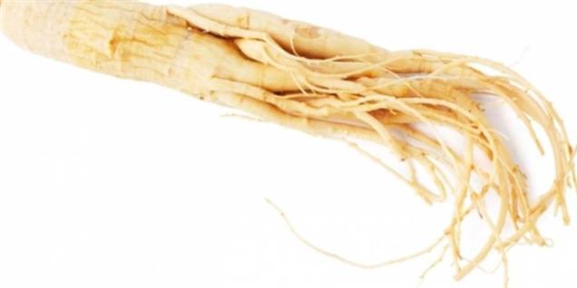 Kosttilskuddet Ginseng Kianpi Pil indeholder en særlig rod af planten polygomum multiflorum thunb, og det er denne rod, der er skadelig.