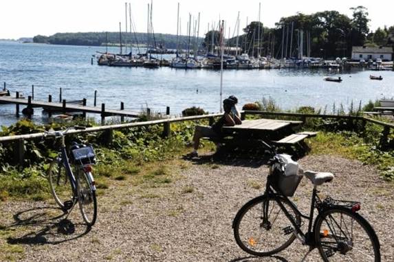 En tilfældig forbipasserende fik sig en ubehagelig overraskelse ved havnen i Frederiksværk. Arkiv.