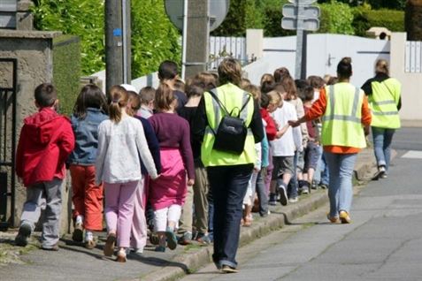 En skoleklasse fik en grim overraskelse under en tur i skoven.
