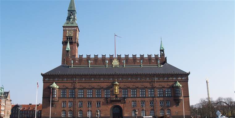 Borgerrådgiver i København Kommune, Johan Busse, mener, at det er 
problematisk, at borgernes funktionsevne vurderes forskelligt af 
kommunernes eksperter og de privatpraktiserende psykologer og 
psykiatere.