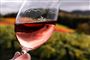 Et glas rosévin holdt op foran nogle vinmarker