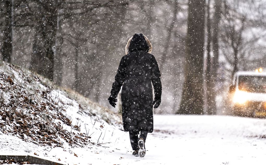 En kvinde går med ryggen til i snevejr. 