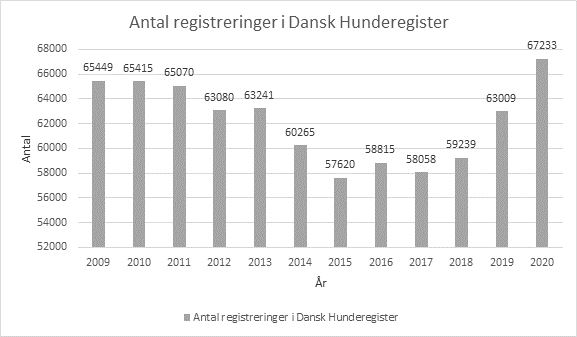statistik over registrerede hunde i Danmark 