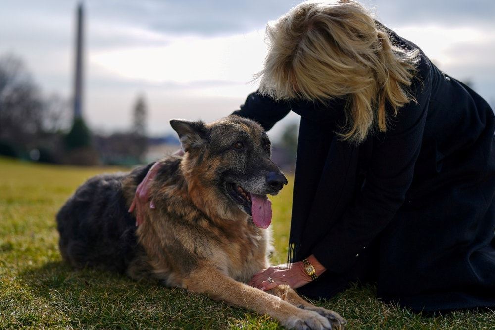 En dame med en schæferhund i Washington