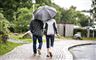 par går på fortov under paraply